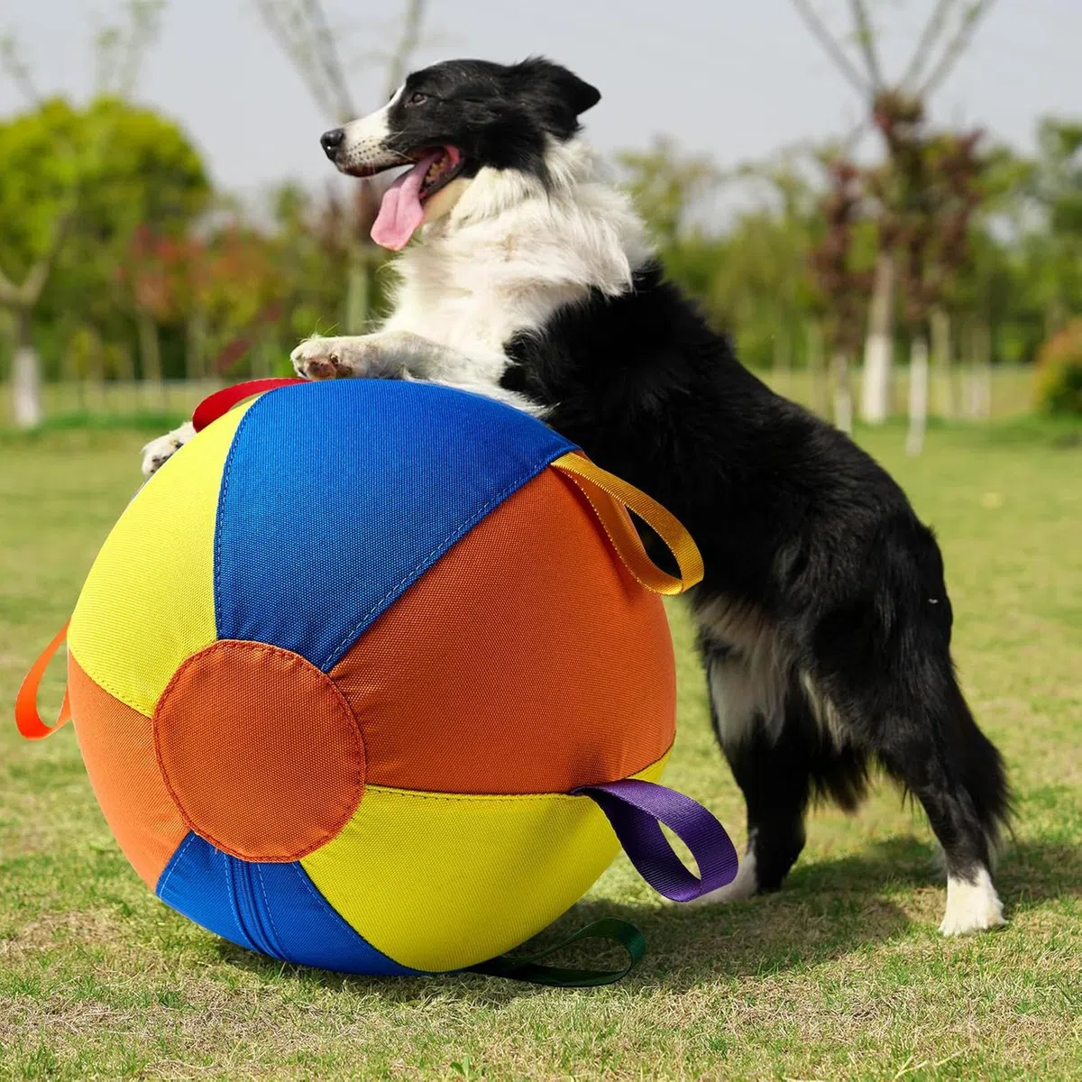Juguete Pelota Perro Juego Antimordiscos para Masticadores Agresivos