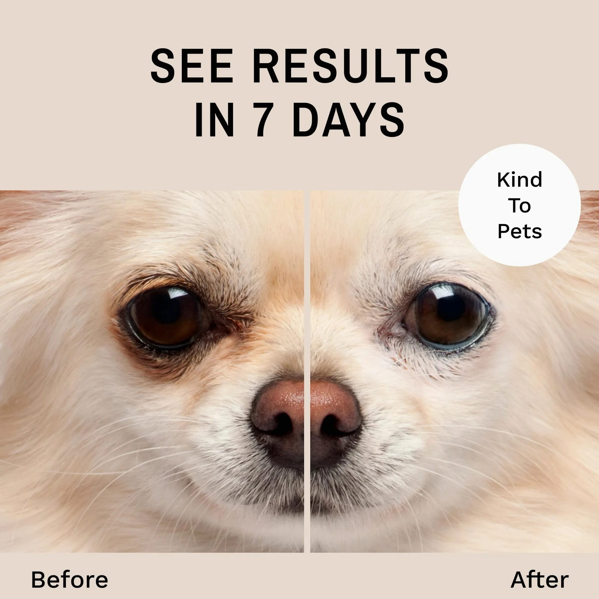 Eye Envy Removedor de Manchas de lágrimas para Perros, 100% Natural, limpiadora de lágrimas, Seguro 2 oz