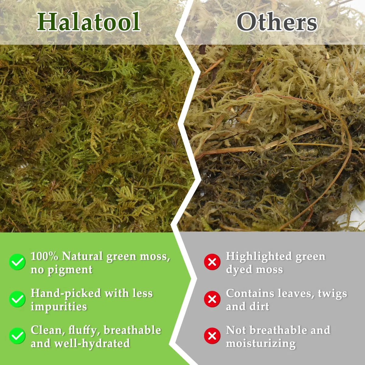 Halatool Musgo para reptiles (142 g)