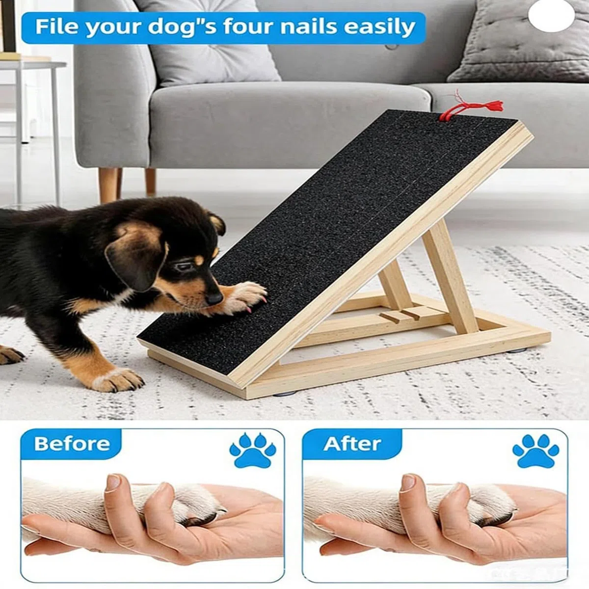 Almohadilla Rascadora para Perros con Lento de de | Alimentador para Recorte de Almohadillas Protección para Muebles, Alfombras y Suelo en Interiores