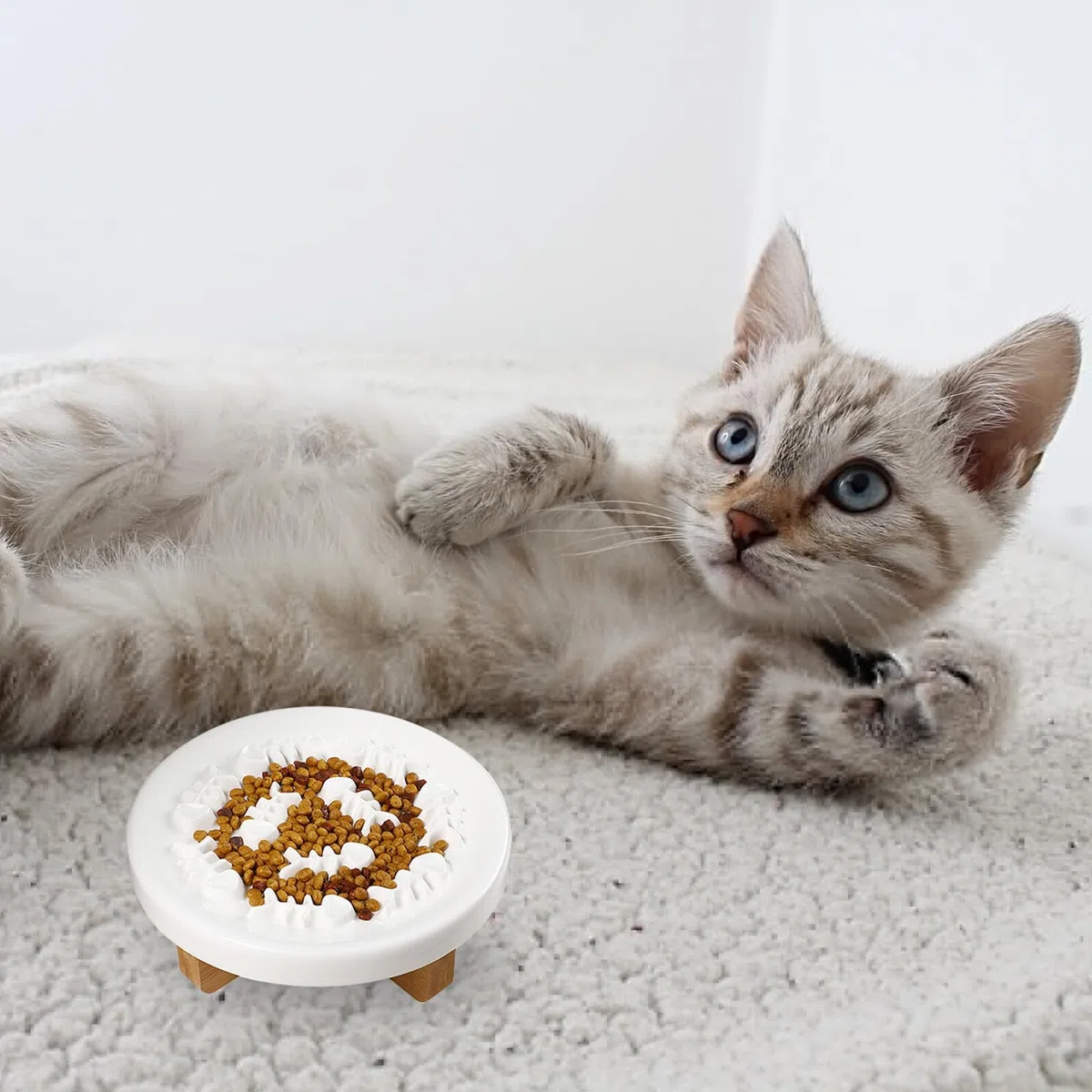 Gatuida Comedero Elevado para Mascotas de Cerámica con Soporte de Madera, Protección para Cuello, Adecuado para Perros Pequeños y Gatos, Alimentación Lenta