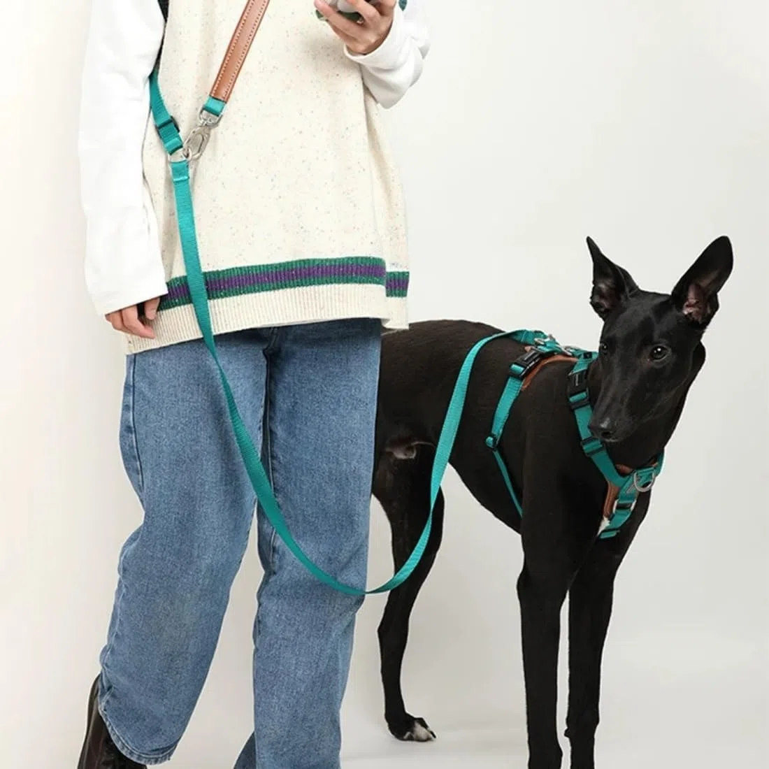Arnés para perros en forma de H ajustable – Arnés antitirones con 2 anillos para correa, acolchado de malla transpirable, resistente al uso para entrenamiento y paseo, cromado, M