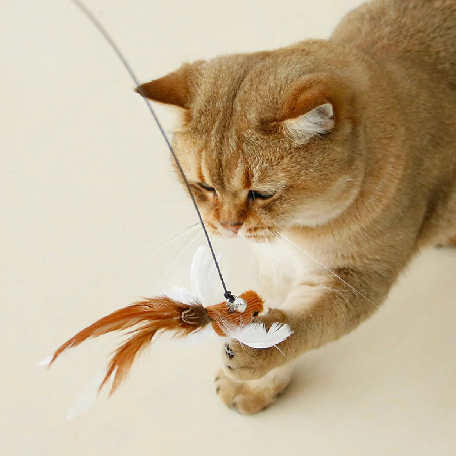 Juguete de Plumas para Gatos, Juguetes for Gatos, Varita de Plumas con Manos Libres y Campana, Potente Ventosa, Juguete Interactivo for Cazar Hacer Ejercicio, 1 Unidad, 16 Unidades
