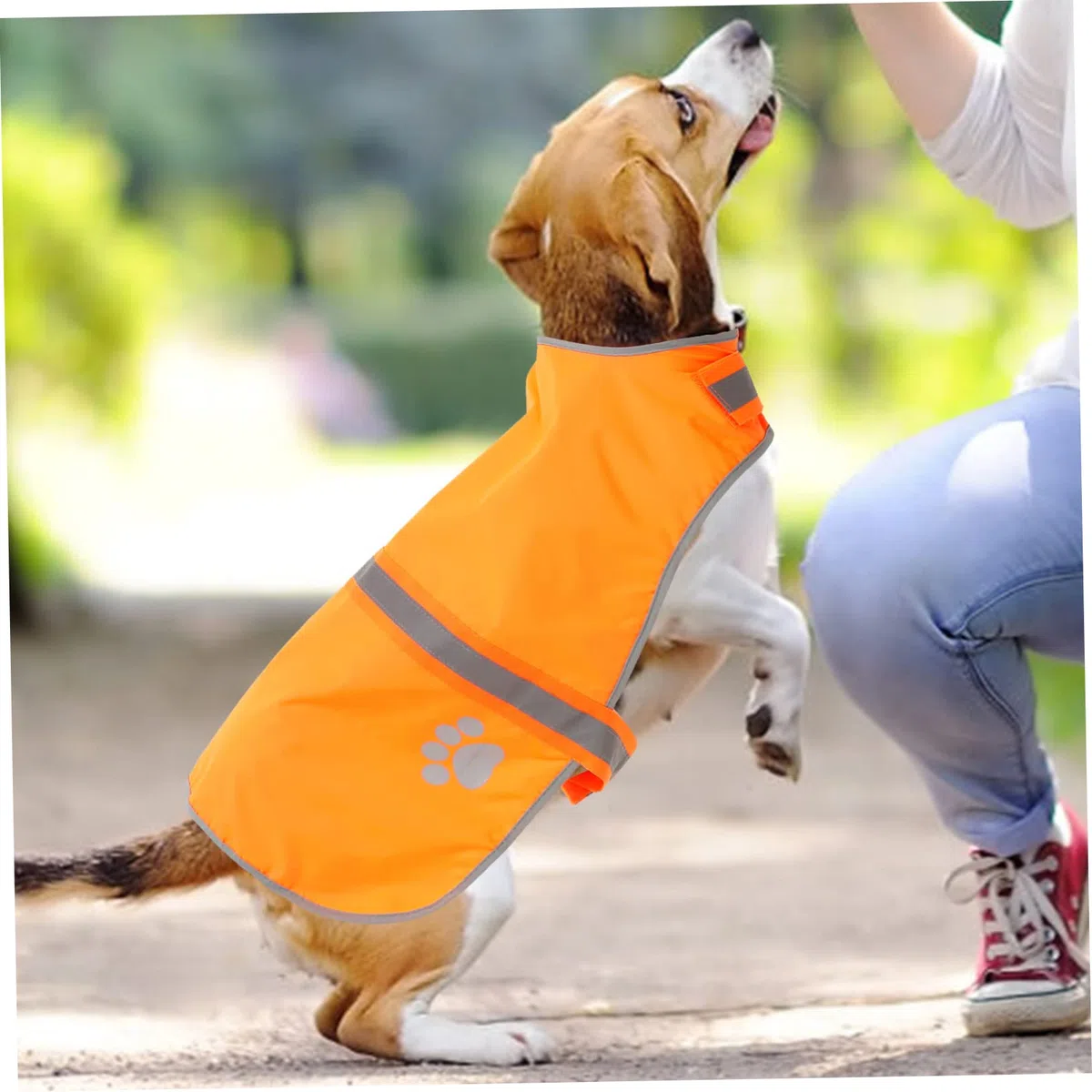 SUPVOX 4 Piezas Chaleco Reflectante para Perros Chaleco Disfraz Ropa para Mascotas para Caminar Corriendo Salvaguardia Tela Oxford Pequeño Chalecos Reflectantes