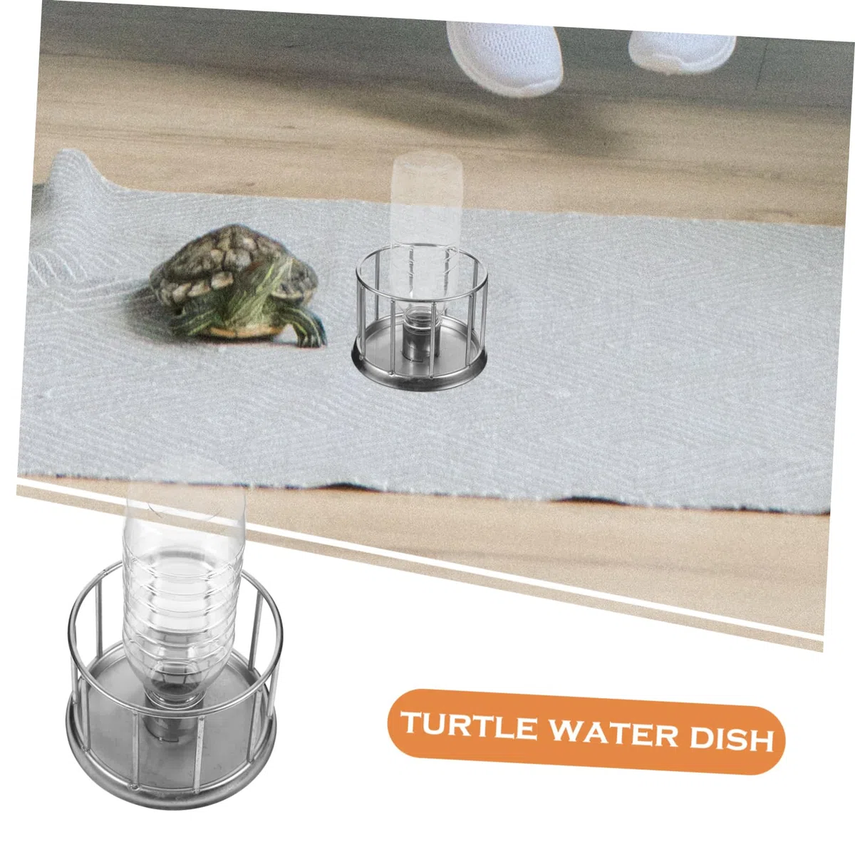 Milisten 5piezas Comedero y Bebedero Multifuncional para Reptiles Plato De Acero Inoxidable para y Pequeños Reptiles Diseño para Agua y Comida para Terrarios
