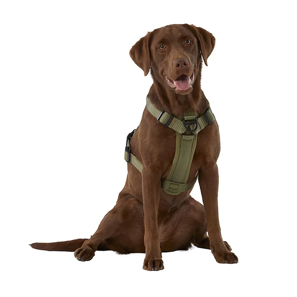 Kong Arnés de Bolsa de Basura Ultra Duradero (Mediano, Verde)