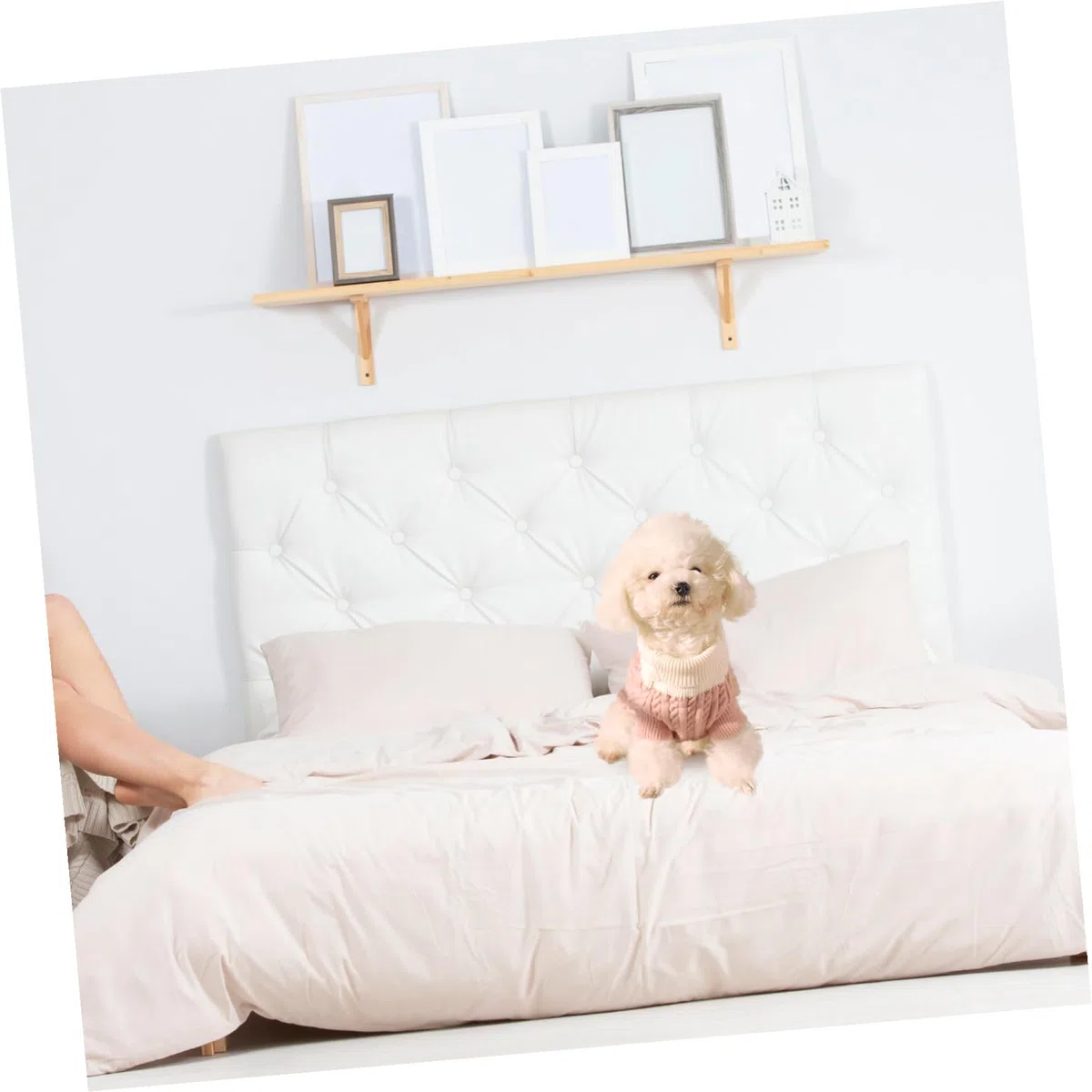 BESPORTBLE 3piezas Suéter De Invierno para Ropa De De Algodón Vestido De Mascota para y Invierno Color Rosa XS