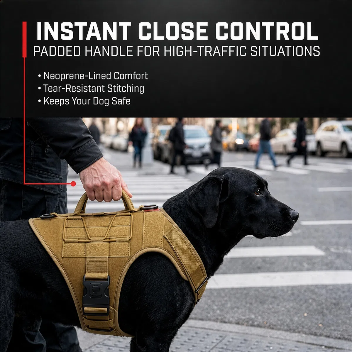 ALBCORP Arnés táctico para Perro Alcorp, Chaleco de Entrenamiento Militar K9, arnés para Perros de Trabajo, para Perros medianos, Grandes y XL