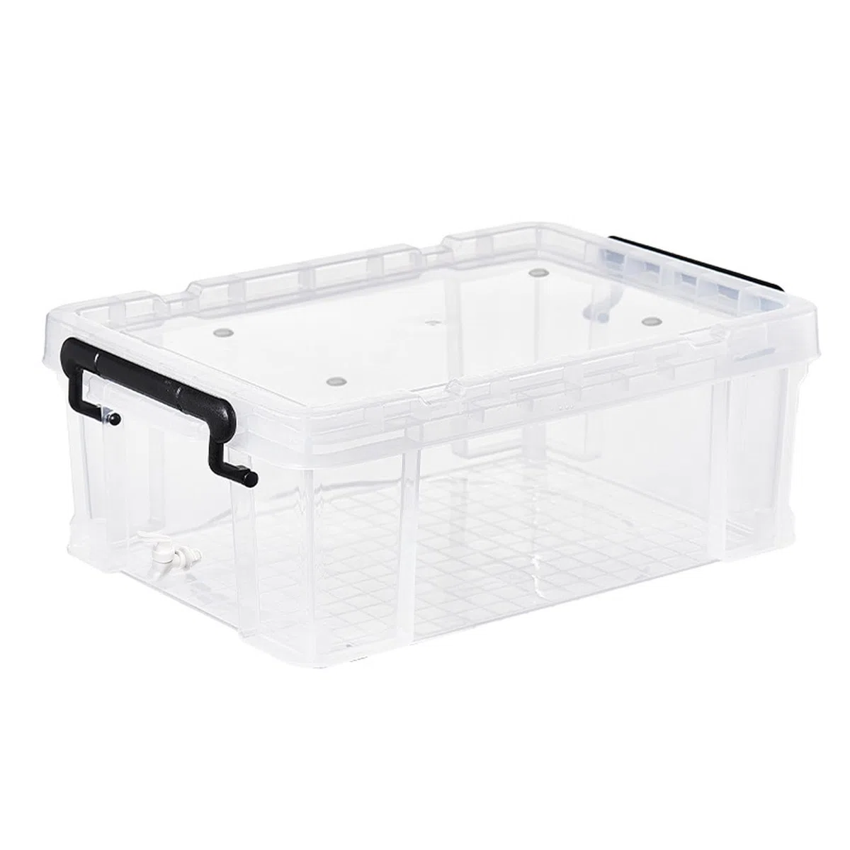 Hábitat para Tortugas Habitáculo Transparente de Descanso para Tortugas | Tanque Transparente Galápagos en Interiores: Vivienda, Salón, Aula, Dormitorio, Apartamento, Residencia y Oficina