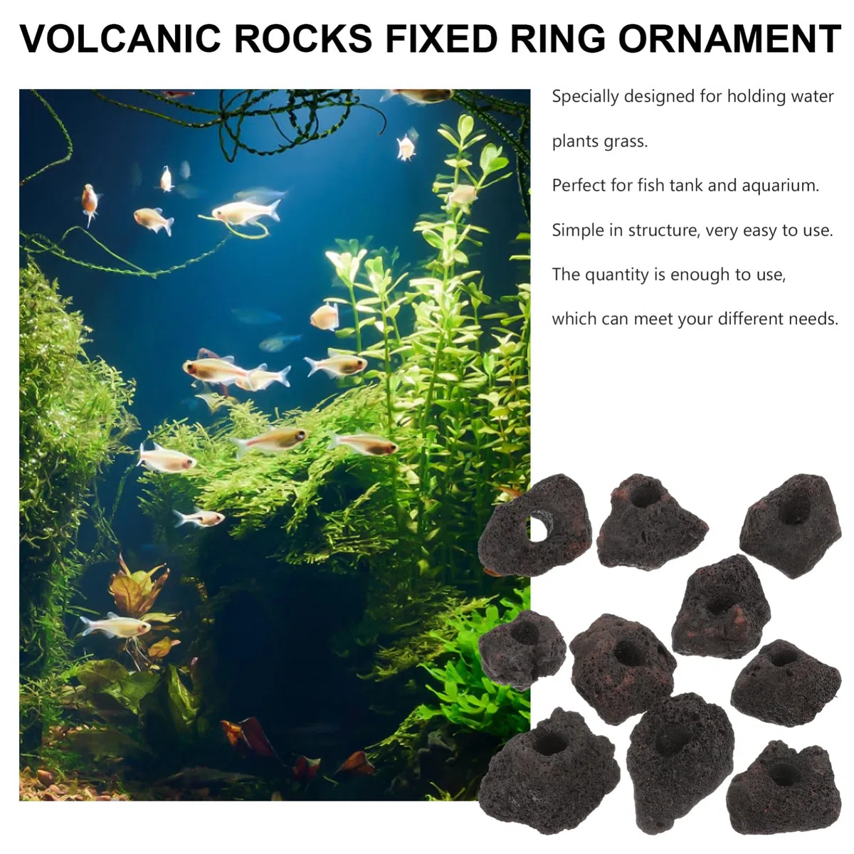 BESPORTBLE Anillos de Fijación para Acuáticas de Piedra, 10 Piezas y Fijación en Peceras y Acuarios
