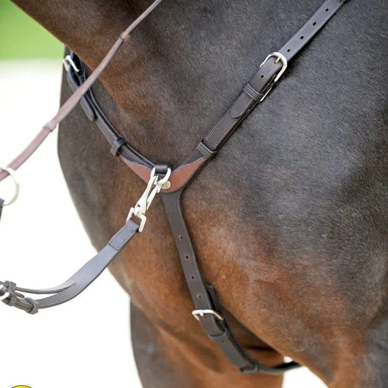 Kavalkade Collar de Caza para Caballos Everyday
