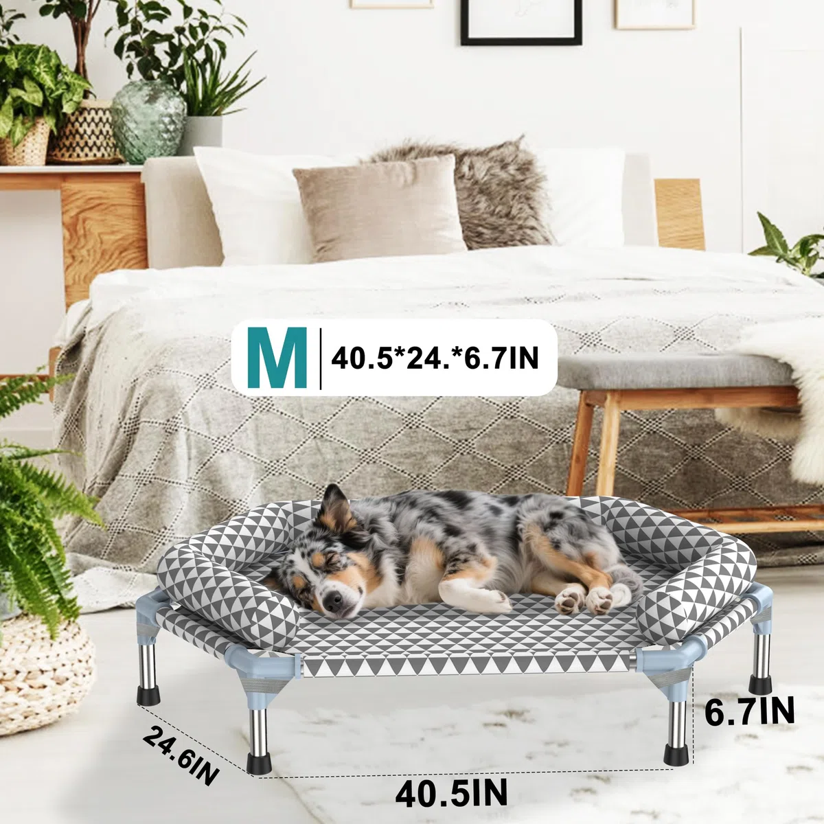 Cama ortopédica para Perros medianos, Cojines extraíbles y Funda limpiable, Cama elevada de Exterior para Perros, fácil de Montar, hasta 45,3 kg, M