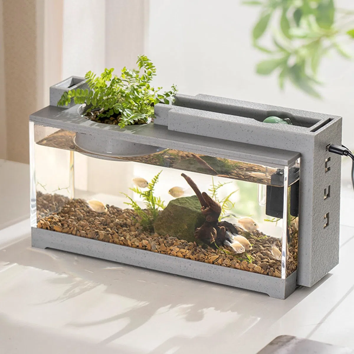 Generic Tanque de Peces con Filtro de Bomba de Aire y luz, Acuario Rectangular con luz LED, Acuario Pequeño para Bettas, Guppies, Peces Loro Min-i, Camarones, Goldfish