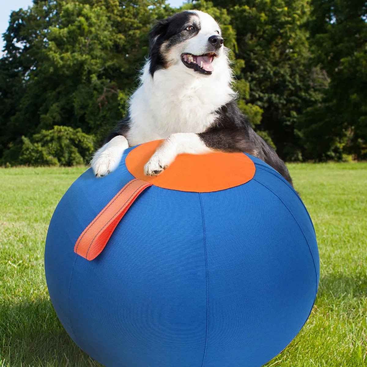 Pelota de Pastoreo para Perros Grandes Juguete Hinchable para Cachorros | Juguete de ejercicio para cachorros Para dueños y amantes de mascotas, patio, jardín, granja, parque, piso, casa, oficina,