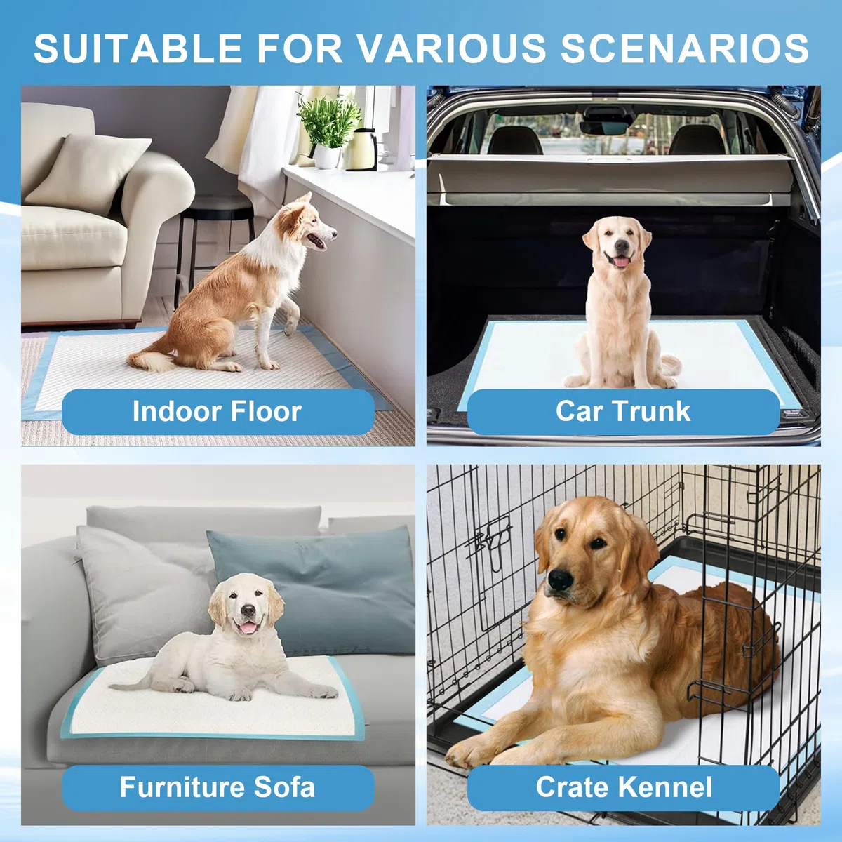 Almohadillas para orina para Perros, 28 x 44 Pulgadas, 100 Unidades, Almohadillas para orina de Perro, Extra Grandes, a Prueba de Fugas y súper absorbentes, Almohadillas Desechables Gruesas para