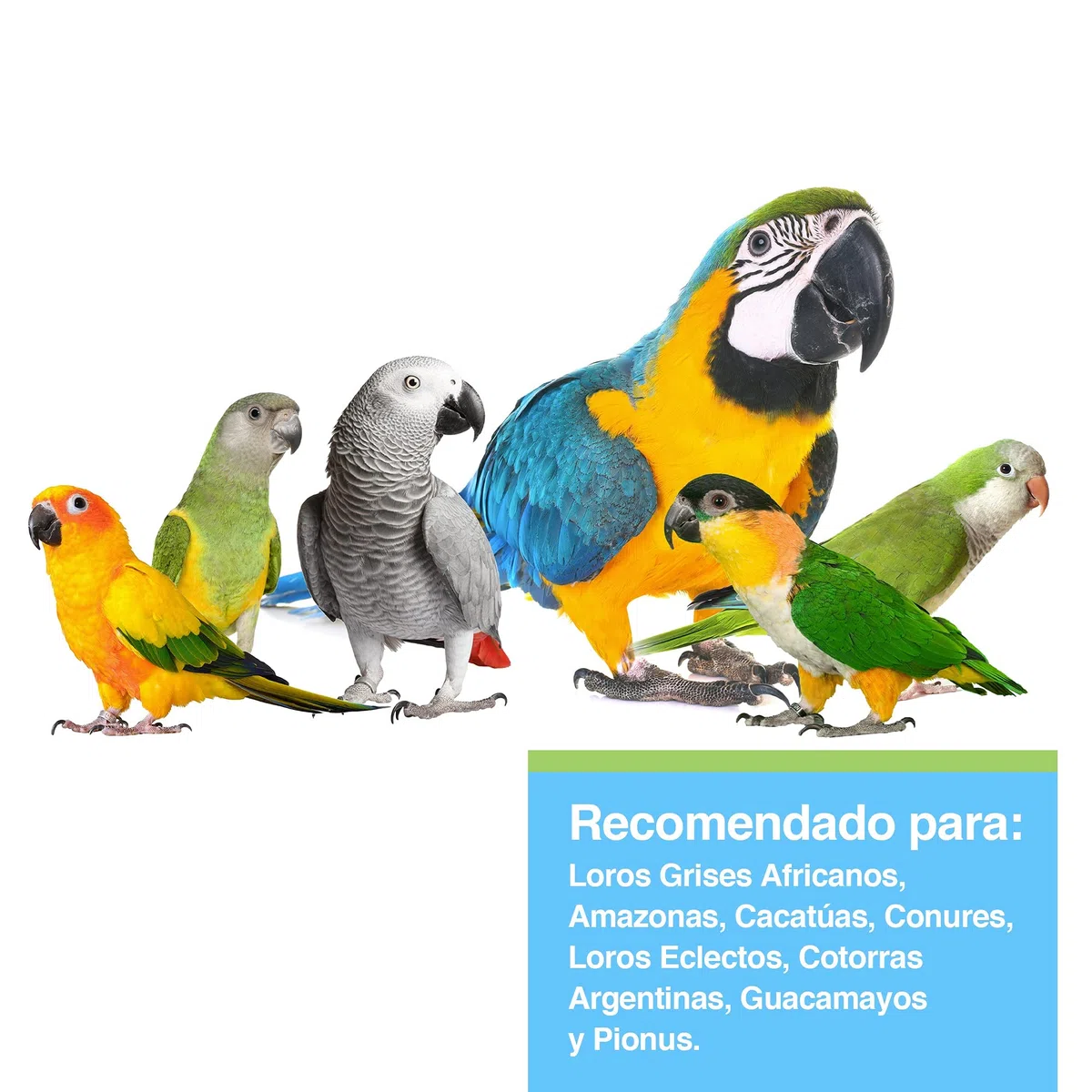 Tropican Alimento para Loros con Formula Alternativa - 1,8 kg