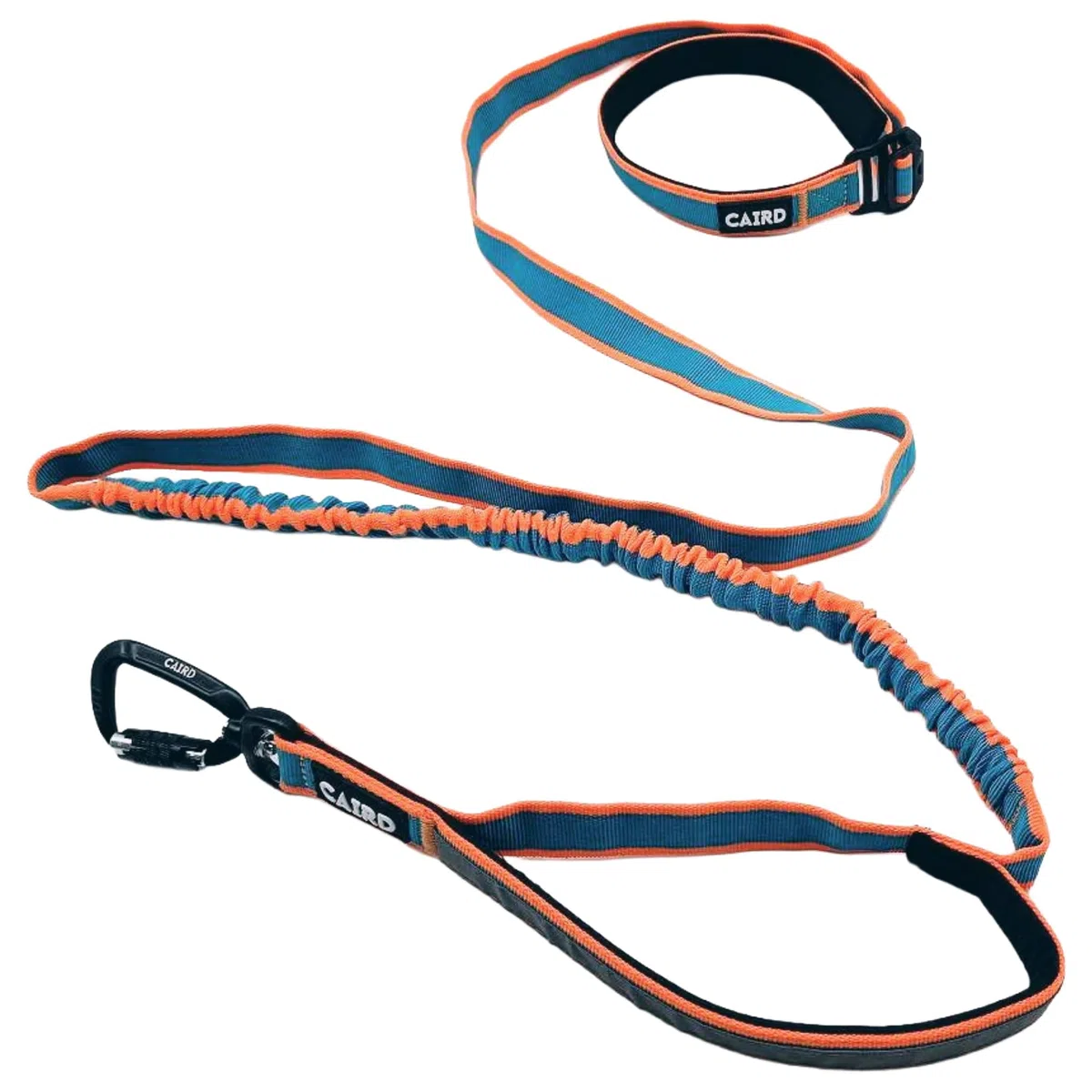 Correa elástica para Perros CAIRD Freedom to Run, Correa para Perros Manos Libres con asa Acolchada, cinturón Ajustable, mosquetón de Aluminio (Naranja y Aguamarina)