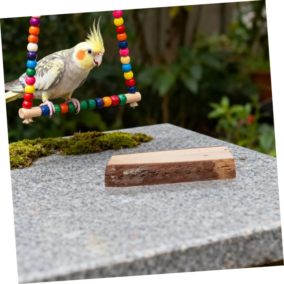 SHINEOFI 5 Perchas de Madera Natural para Loros con Cuerda, Diseño Estable y Superficie Cómoda para Trepar, Accesorio Adecuado para Jaulas y Hogares de Aves