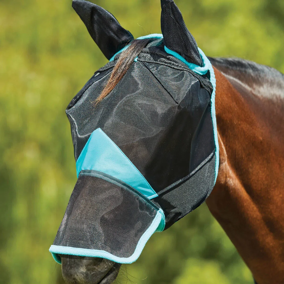 Weatherbeeta - Máscara Antimoscas con Agujeros para Orejas y Nariz de Red Fina Comfitec Deluxe (Pony) (Negro, Turquesa)