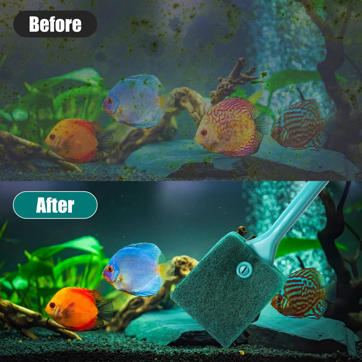 AQUANEAT 3pcs Herramientas de limpieza de peceras, cepillos de acuario, depurador de algas, limpiador de esponja de pecera