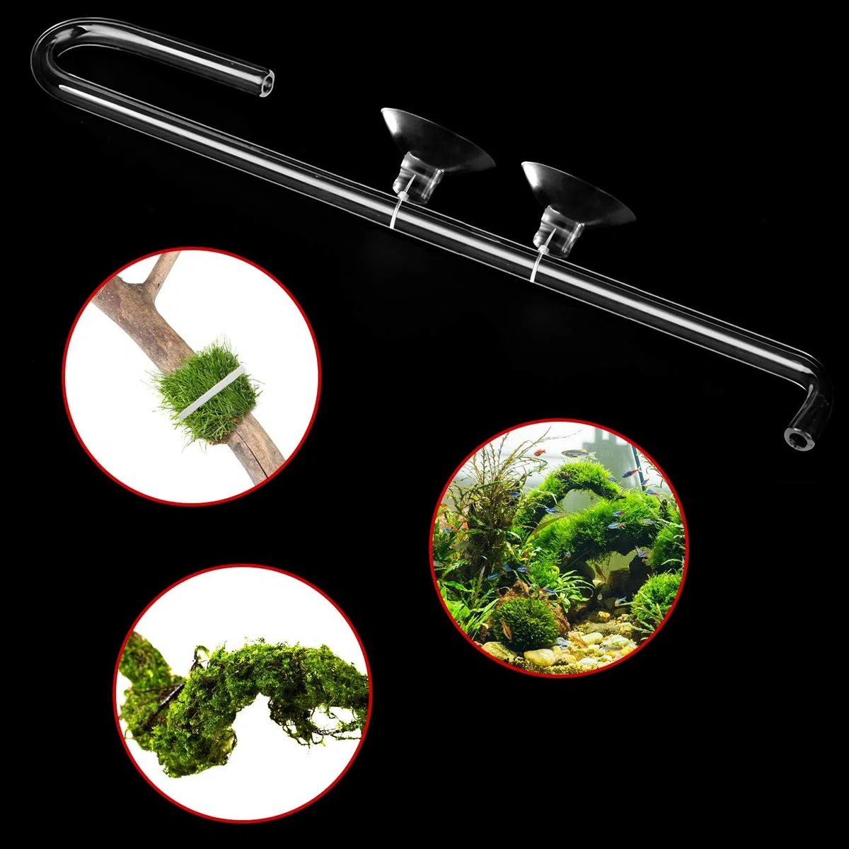 FEBSNOW Ventosas para acuario, ventosas para peceras, ganchos de succión para acuario con 30 bridas ajustables para plantas, macetas, nido de camarones de musgo (10)