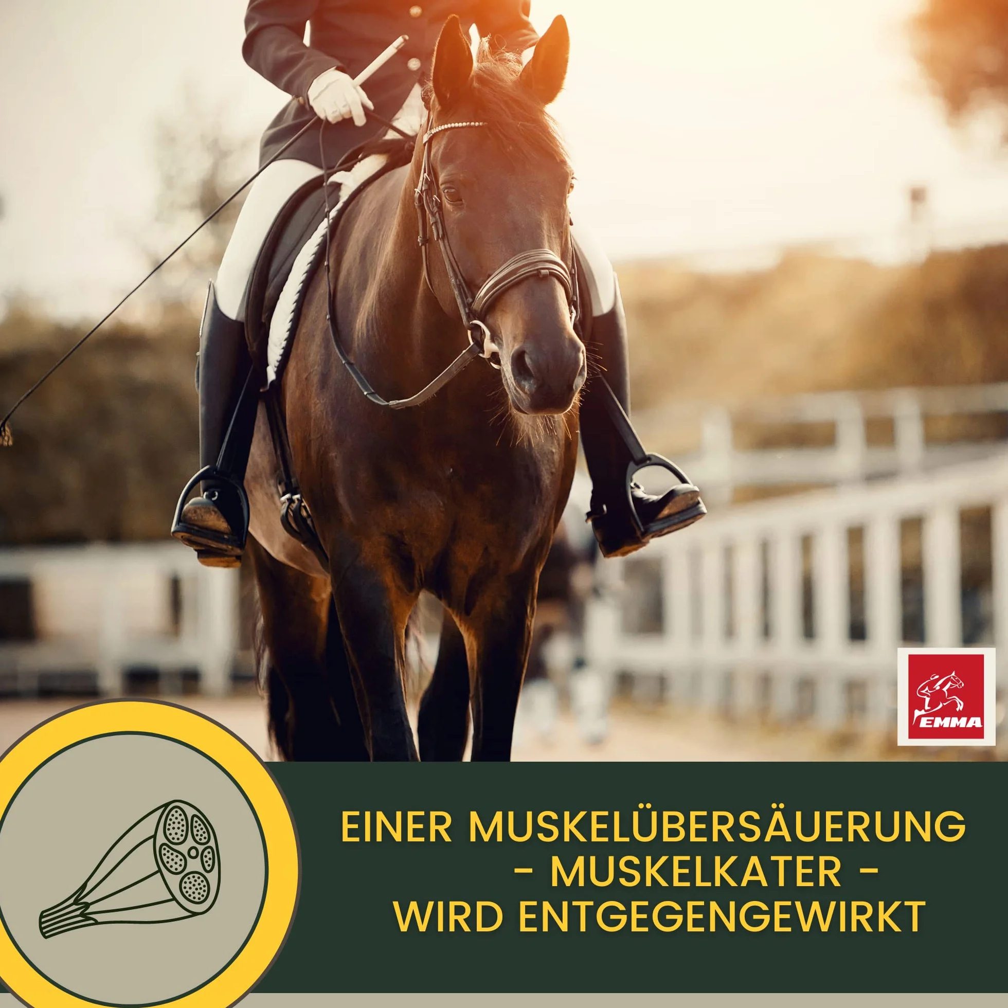 Pasta vitamínica para Caballos Aminoácidos Caballo Amino Vitamina E Levadura de Cerveza Energía Alimento reconstituyente para músculos doloridos Regeneración Rendimiento Muscular Musculación 3 * 30ml