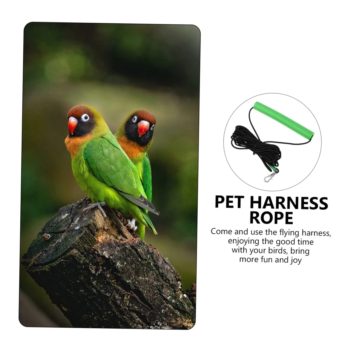 BESPORTBLE 2 Correas De Entrenamiento para Loros Y Pájaros Voladores Ideales para Exteriores.