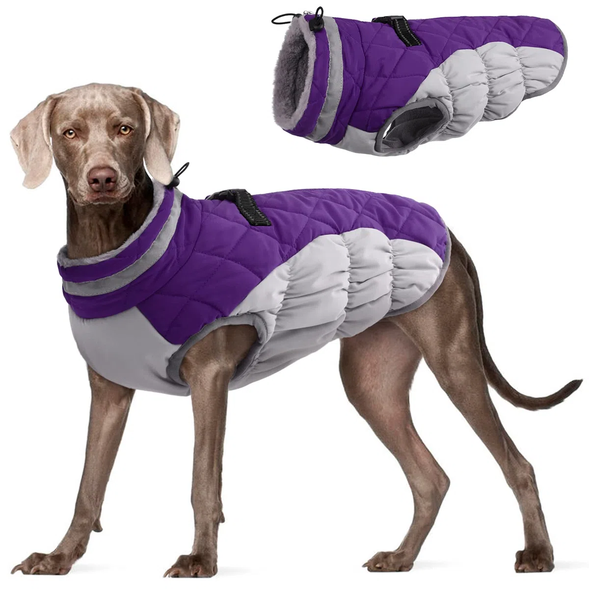 FUAMEY Chaleco acolchado para perro – Abrigo reflectante de invierno para perro, resistente al viento, chaqueta de invierno, cómoda ropa de perro para clima frío – Chaleco a prueba de nieve para