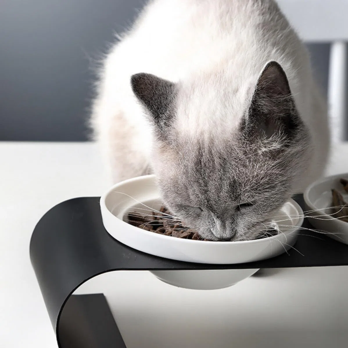 Comedero Elevado de Color Claro para Mascotas Cuencos Dobles de Cerámica y Soporte de Hierro Resistente, Adecuado para Gatos y Perros Pequeños en Casa