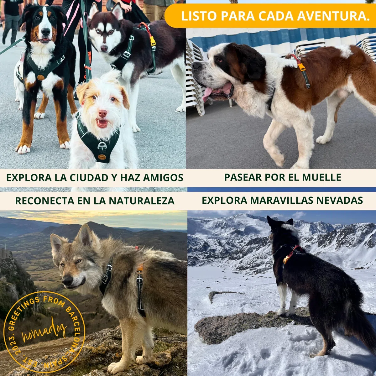 Nomadog Trailblazer Arnes Perro Grande Sin Tirones con Asa - Ajuste Óptimo, Reflectante 3M, Aluminio No Oxidante, Materiales Reciclados - Ideal para Perros Activos (L)