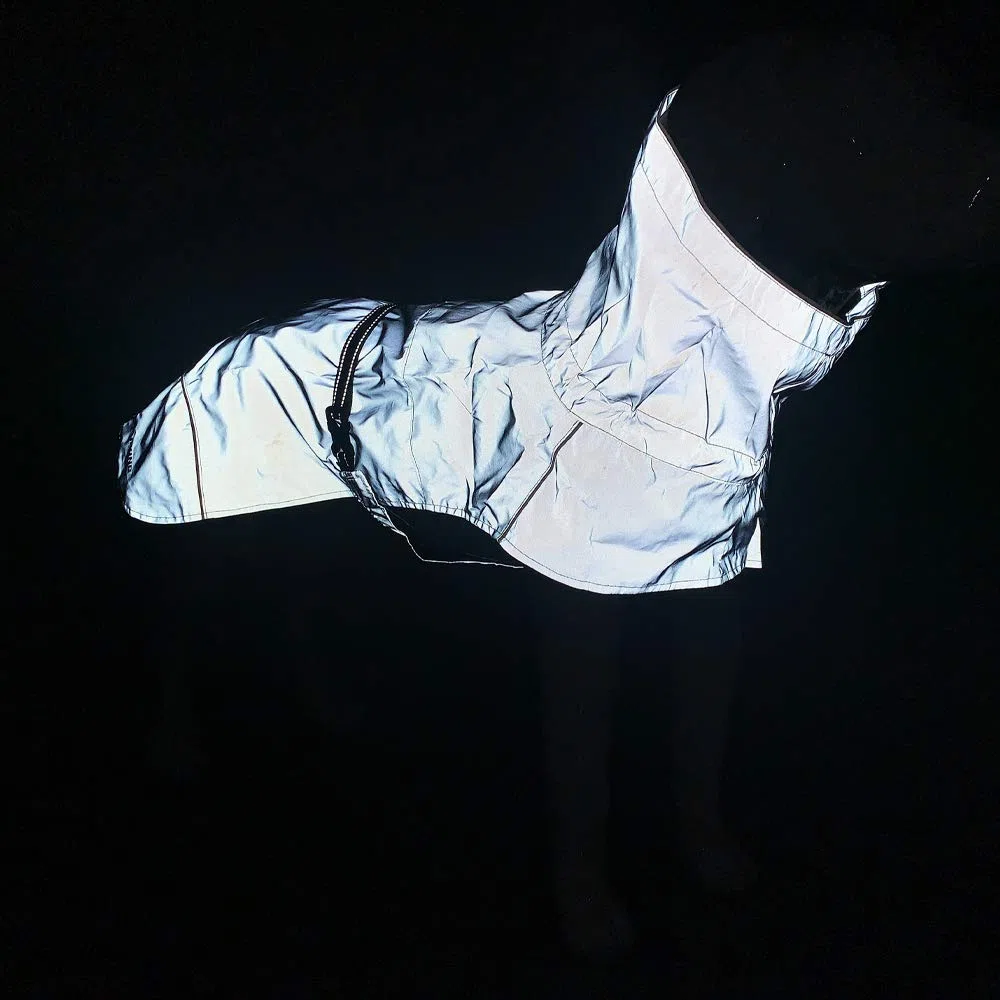 Croci Abrigo de Senderismo para Perros, Impermeable para Perros, Reflectante Impermeable, máxima Visibilidad, Forro termorregulador, Alta Visibilidad, Talla 90 cm - 384 g