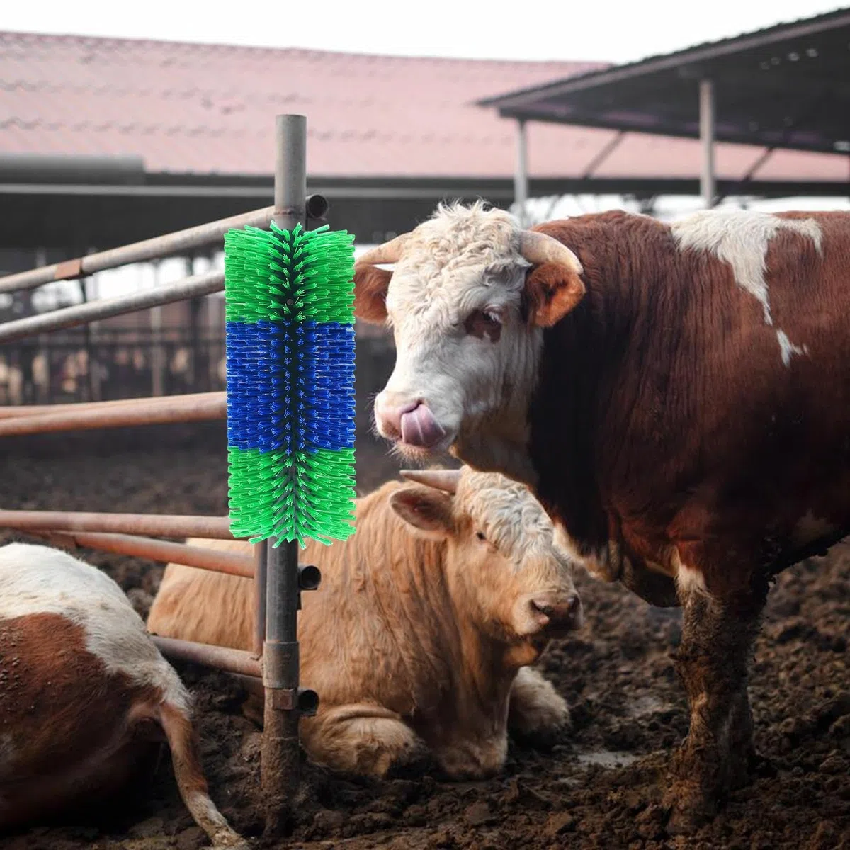 Cepillo para rascar caballos,Cepillo de masaje para rascar ganado | Cepillo de limpieza para arañazos de animales de granja de doble tornillo para o