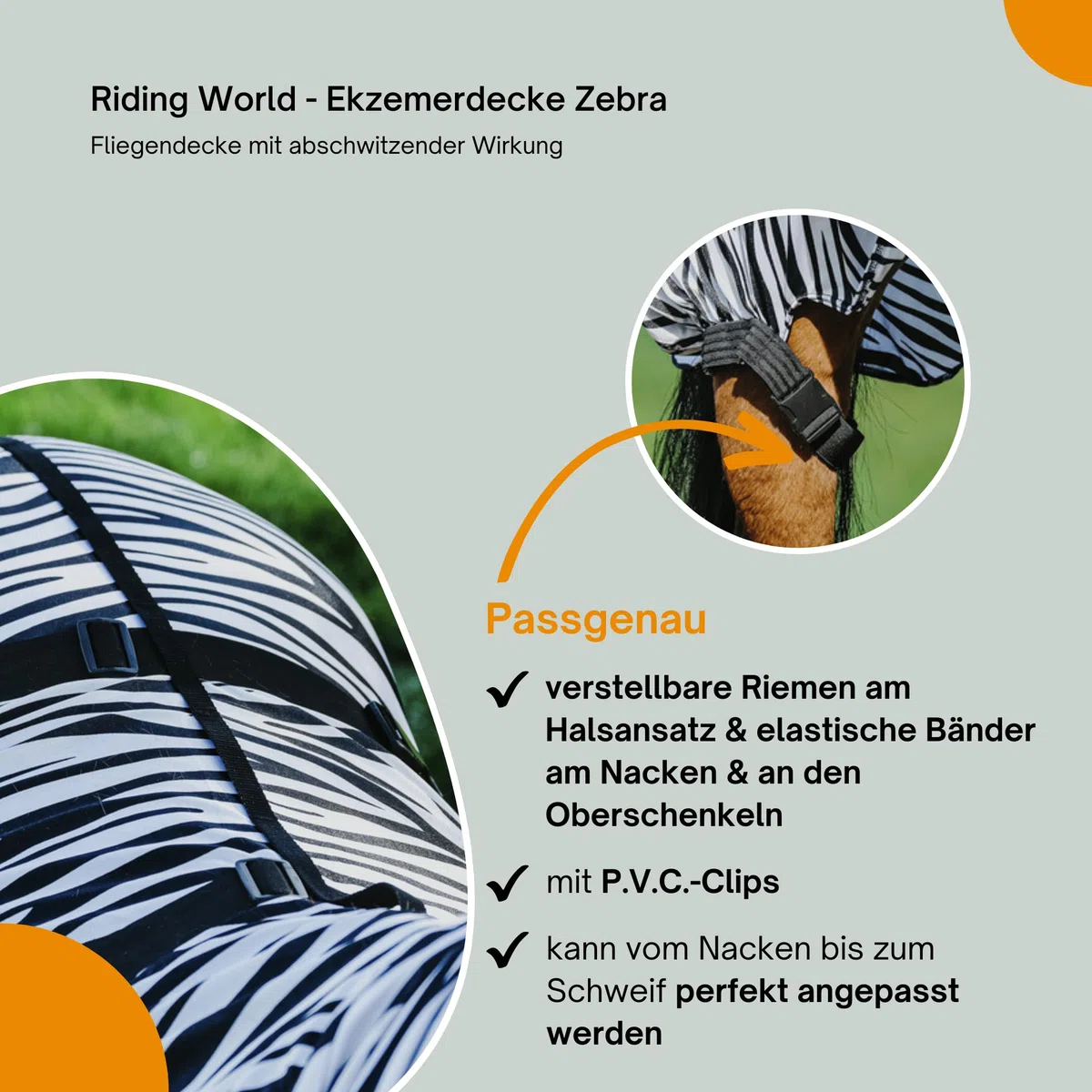 Manta Riding World Anti-Eczema con Diseño de Cebra 125CM