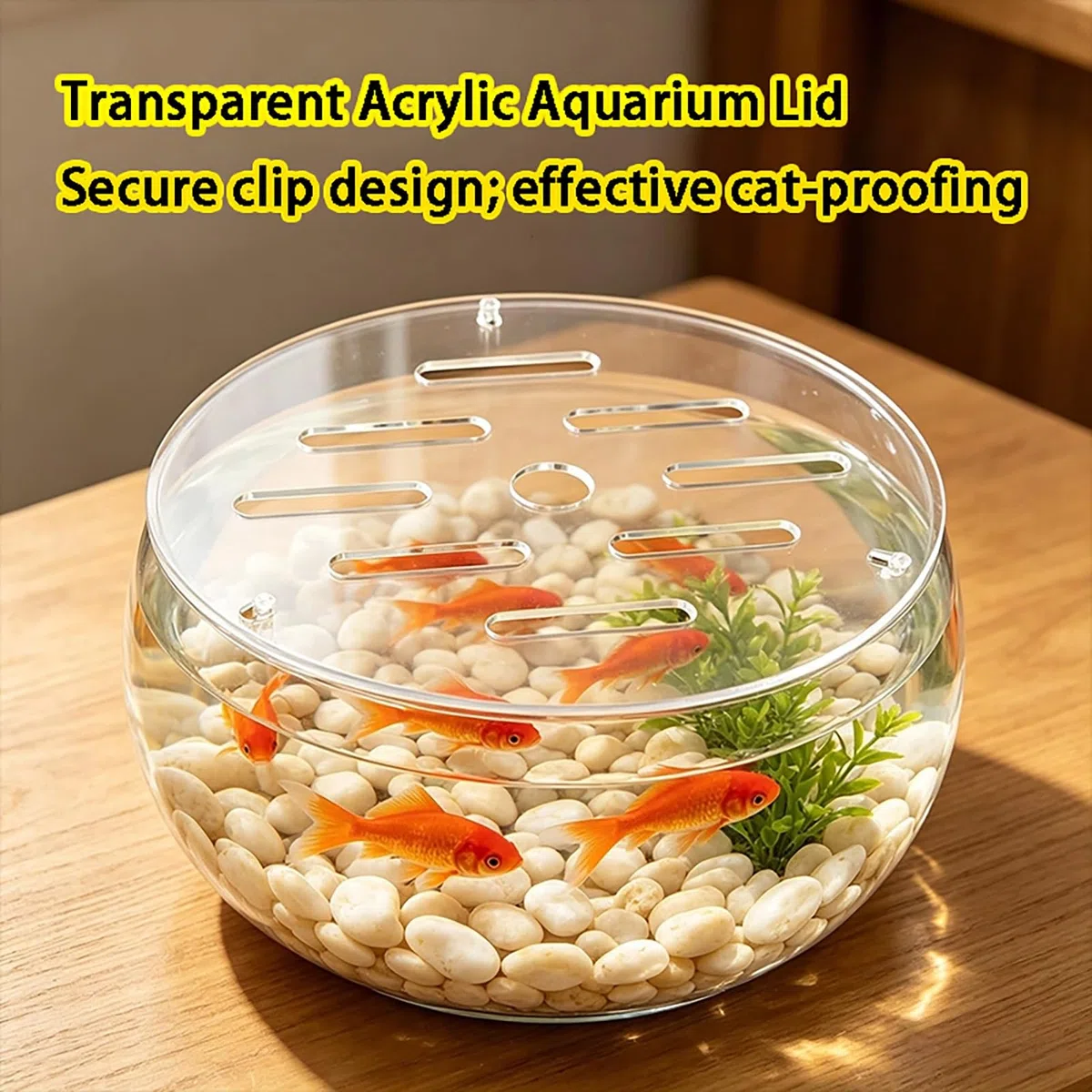 Tapa de Acuario Redonda acrílica