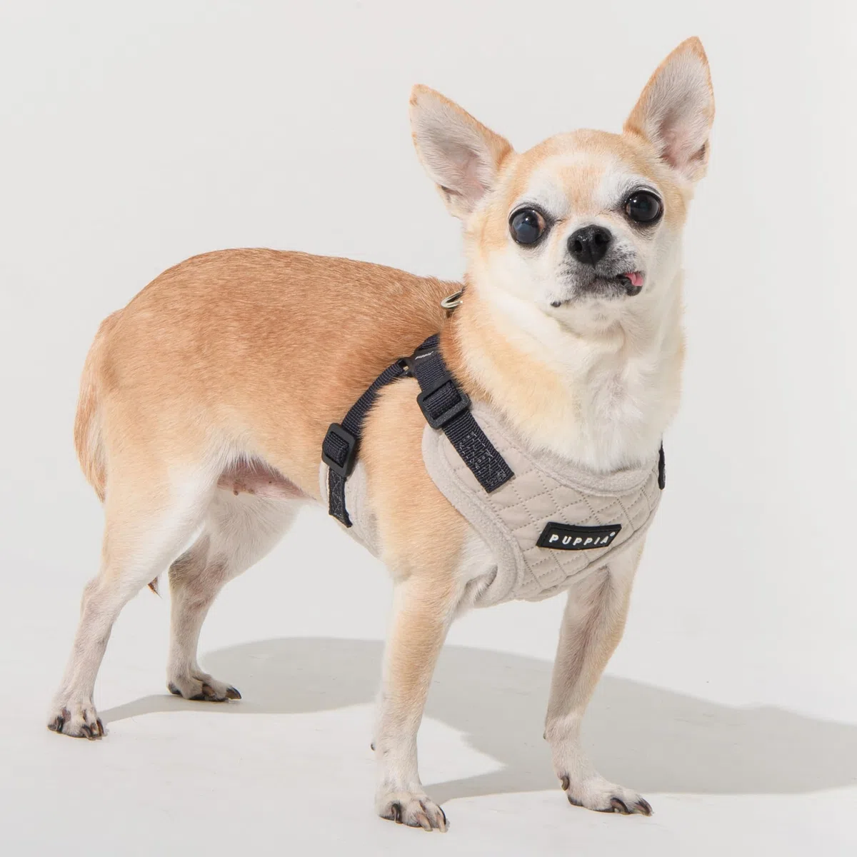 Puppia Irvin Comfort - Arnés cómodo para Perro, diseño de Diamantes, Cuello y Pecho Ajustables para Perros pequeños y medianos, Color Crema, Talla M