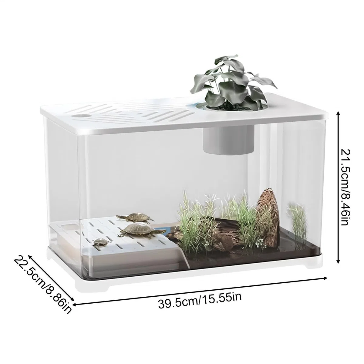 Pecera Gran Kit Acuario Pecera Escritorio