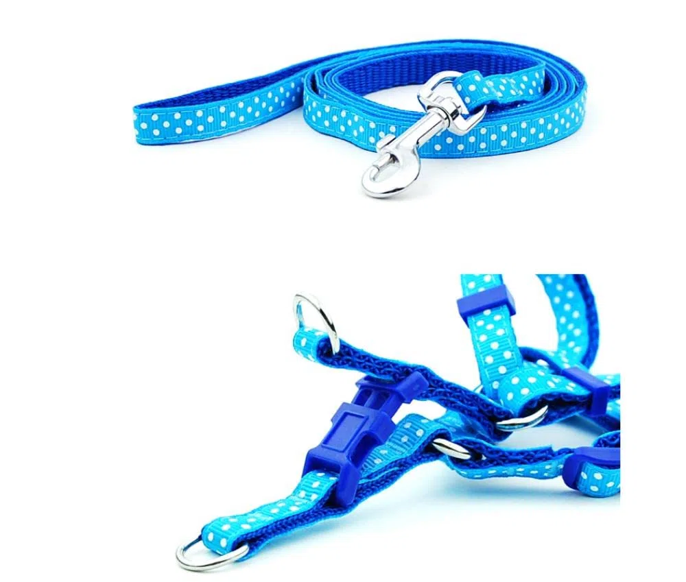 Conjunto de Correa for Perro, arnés Estampado, arnés y Correa for Perro pequeño, for pasear Gatos, 3 m,Bolso para Perros(2,M)