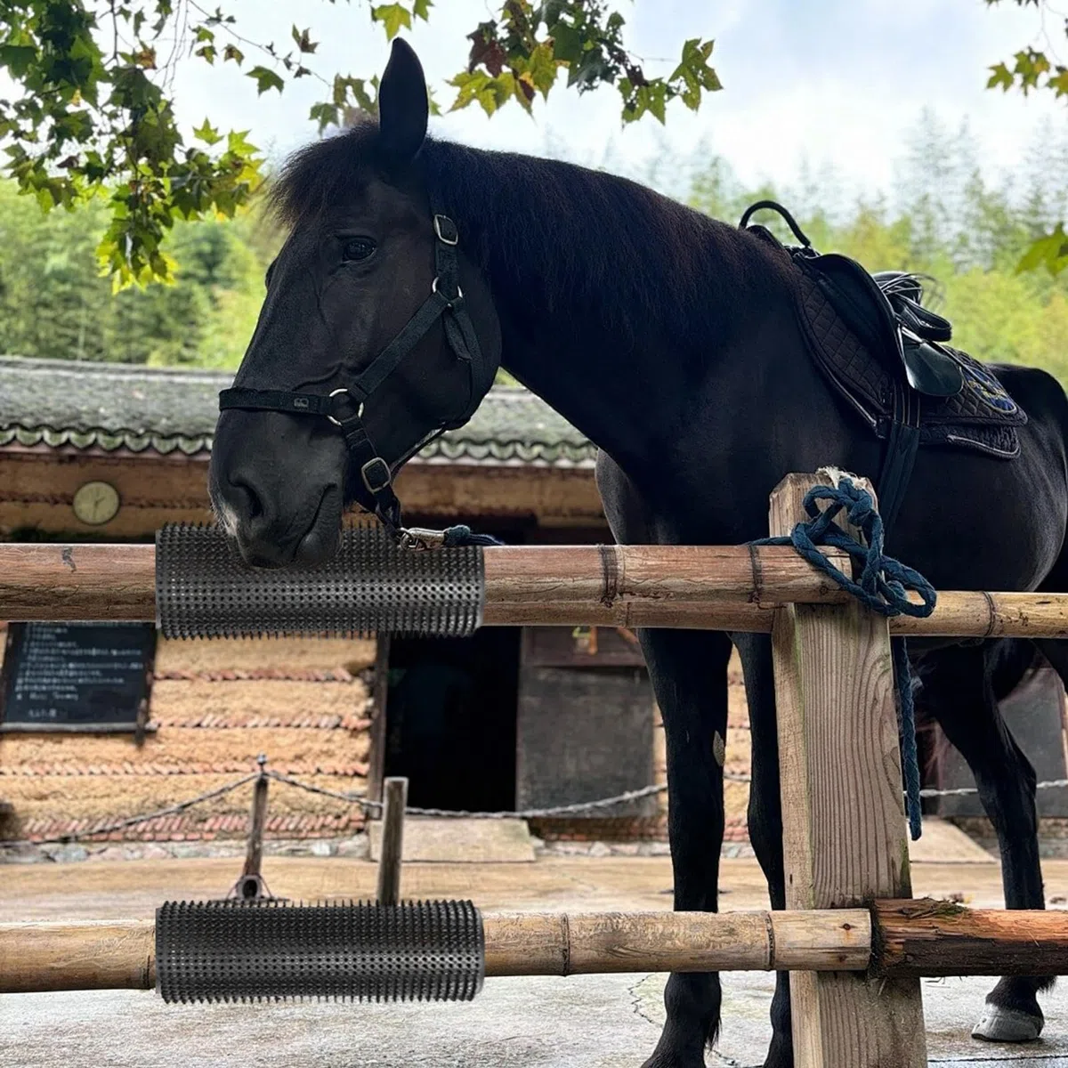 Cepillo rascador para ganado Rascador Masajeador de Aseo | Cepillo rascador para caballos y cabras 2 piezas para Vacas, Perros, Juegos de Animales en Establos,