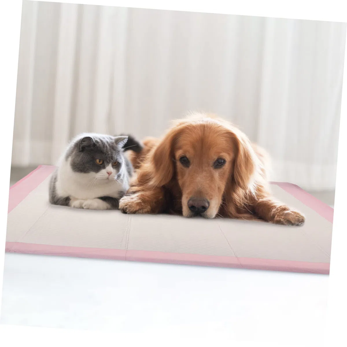 Almohadilla para Orinar Absorbente 1 Bolsa Rosa para Mascotas Pequeñas