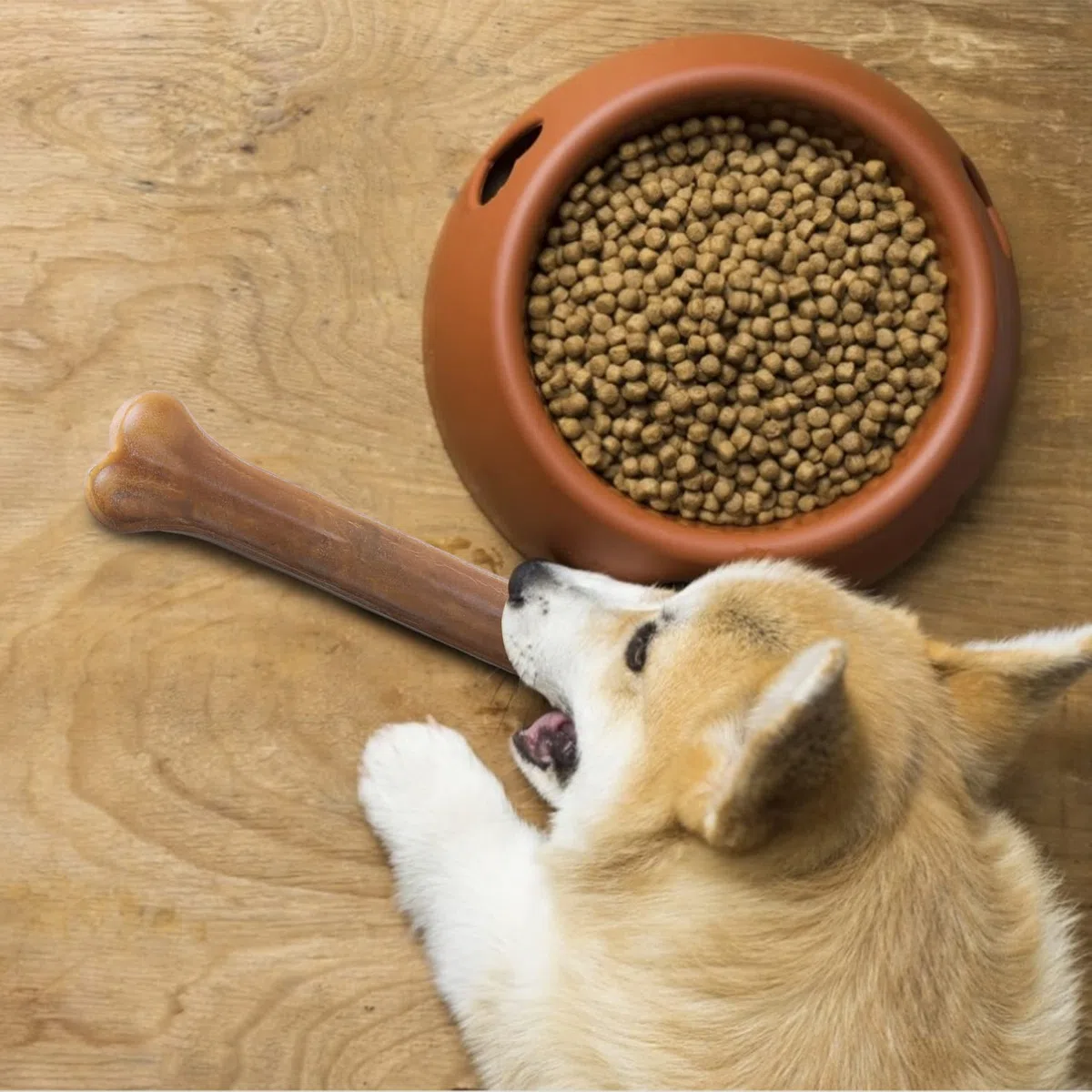 Nobleza - Hueso Prensado para Perros Fortalecedor de Dientes Stick Dental Dog Snack, Hueso de Nudillos de Cuero Crudo, Hueso para morder, Paquete de 12,10 Inches (250mm)