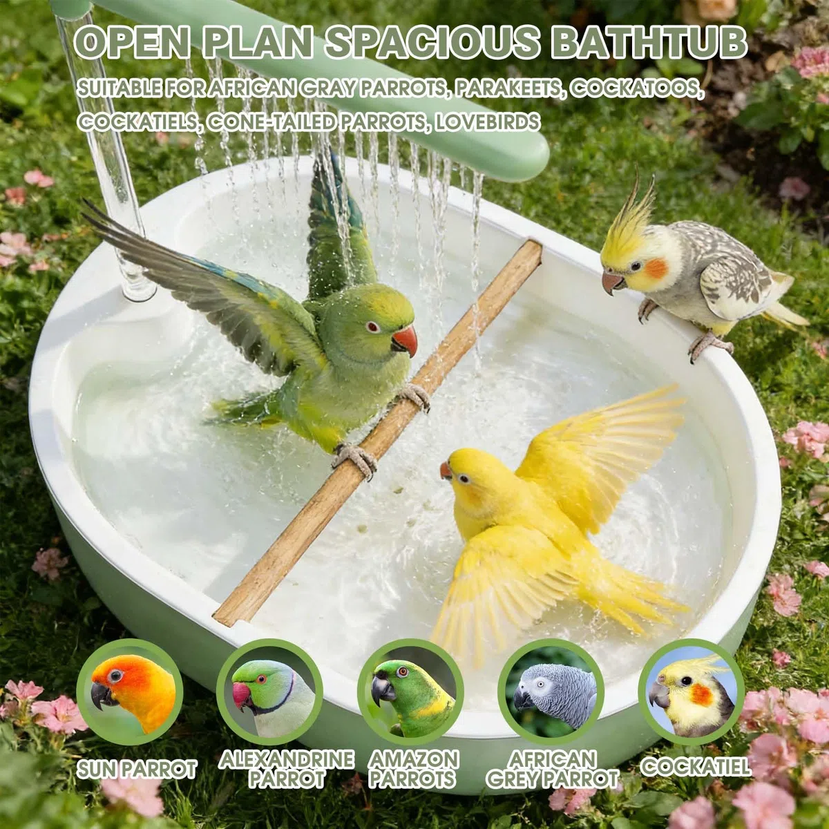 Baño automático para pájaros, agua circulante, bañera grande para periquitos, fuente de ducha para periquitos, periquitos, cacatúas, conures, tortolitos, grises africanos