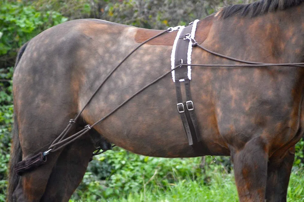 Ayuda para entrenamiento de caballo con rodillo de cuerpo, talla única, mazorca, pony, negro y marrón (morado)