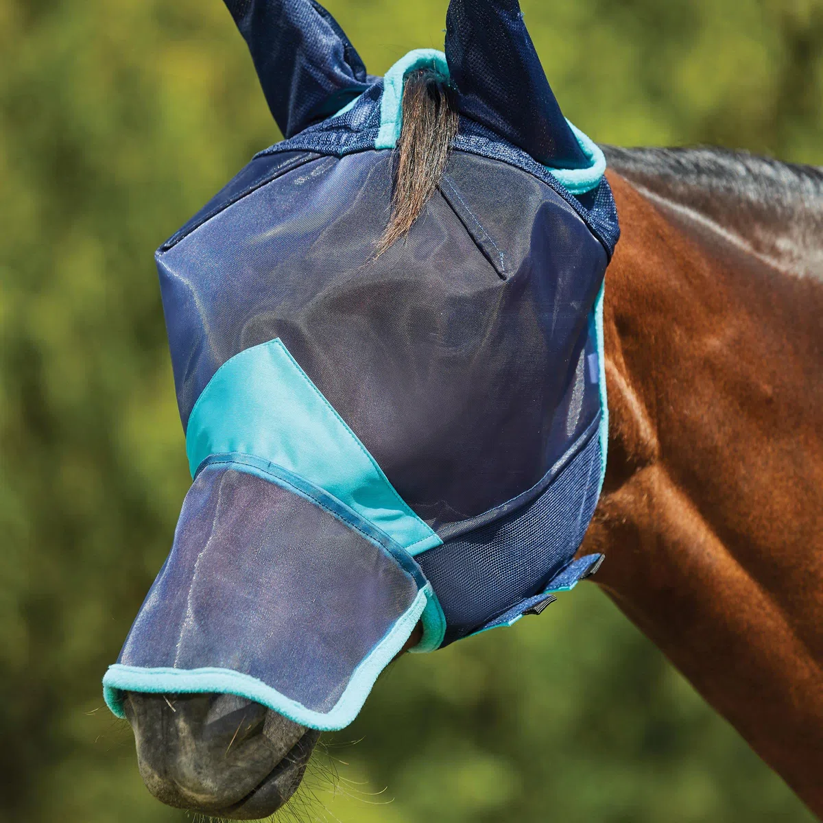 Weatherbeeta - Máscara Antimoscas con Agujeros para Orejas y Nariz de Red Fina Comfitec Deluxe (Pony) (Marino, Turquesa)