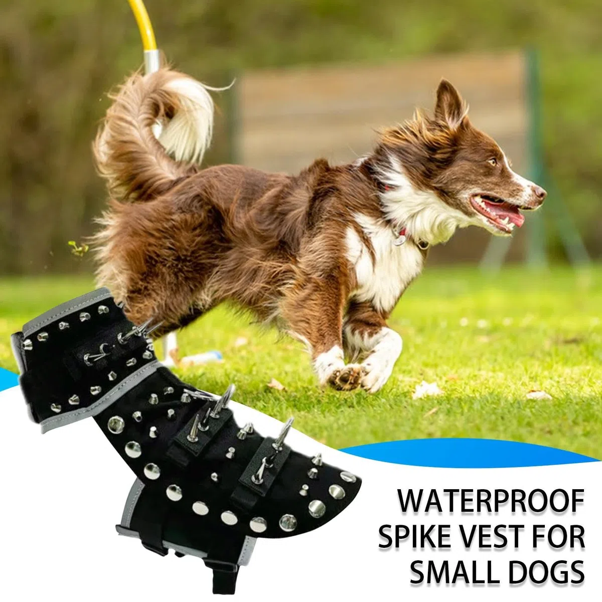 Chaleco con Púas para Perro Protección Ajustable Reflectante contra Coyotes