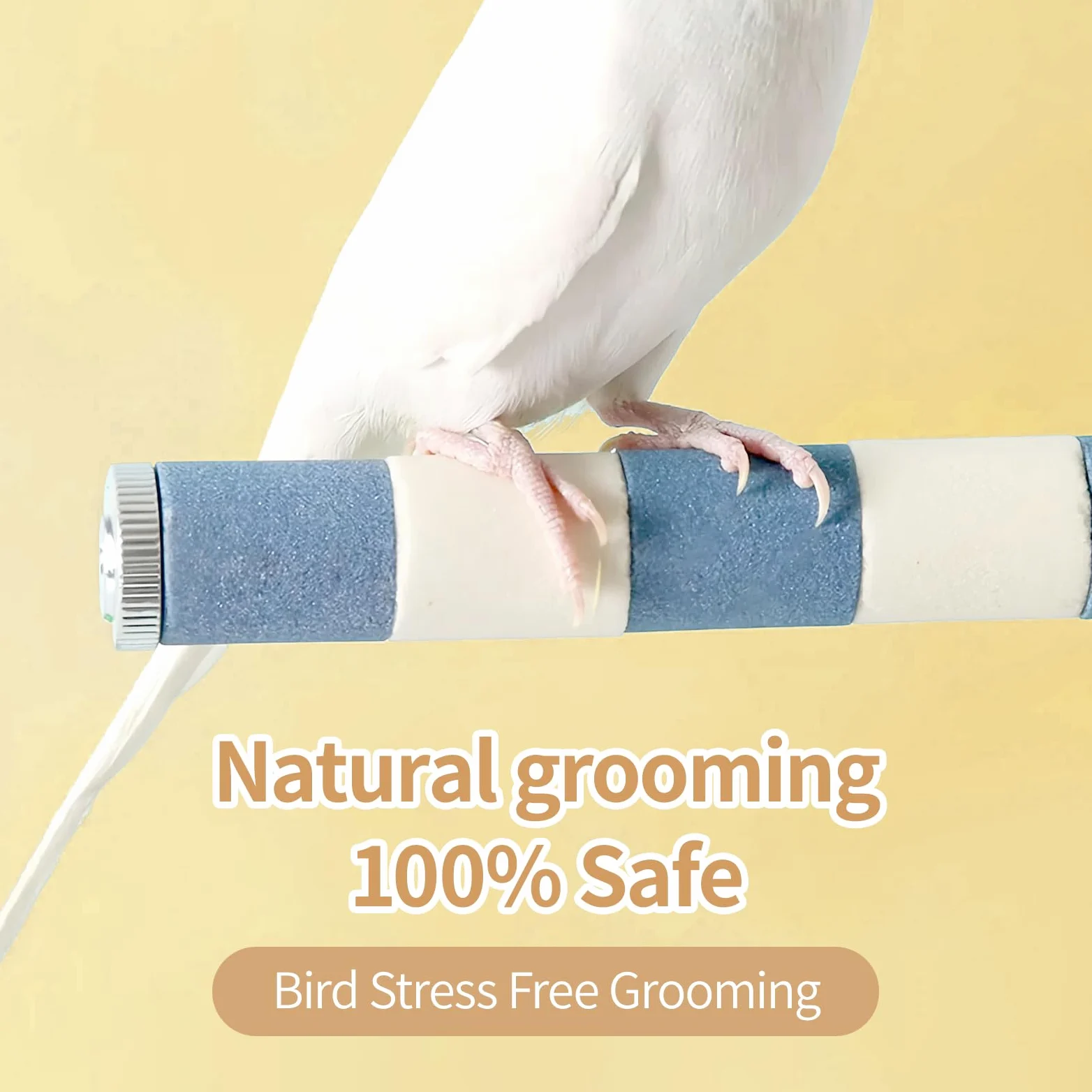 AOTU Perca para pájaros, perca de arenisca natural, perca para loros, perca duradera de pico y garra, piedra de molienda para pájaros, 7.9 x 1 pulgadas, accesorio seguro no tóxico de larga duración