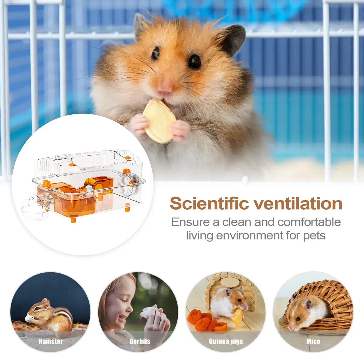 Casa para Hámster con Botella De Agua Y Juguetes Grandes | Jaula Transparente Para Mascotas Pequeñas Para Mascotas: Ratones Enanos, Conejos Sirios, Pequeños Animales, Para En