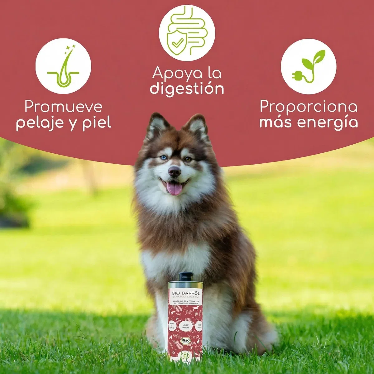Aceite para Perros 1 litro – 100% Aceite Barf orgánico - Natural y Vegano - con Aceite de Lino, onagra, Oliva, Semillas de Calabaza, chía - con Omega 3-6-9, DE-ÖKO-060