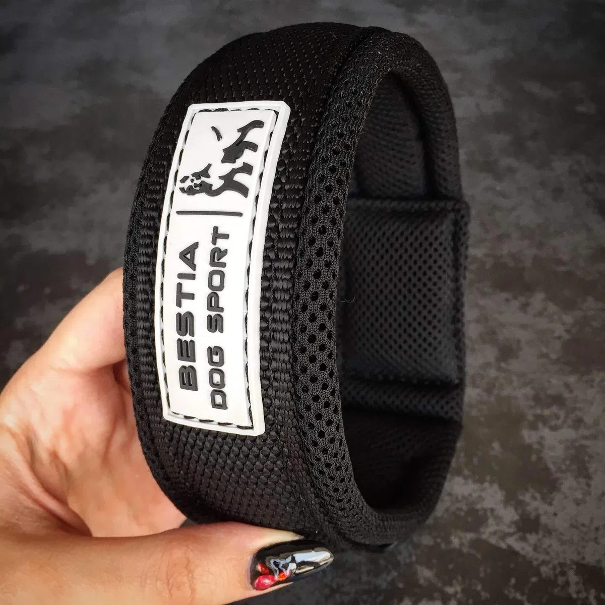 Bestia Dog Sport Collar para Perros de Apertura Rápida - Ajusta una Vez, abrocha en un Segundo, Hebilla metálica, Acolchado, Cinta TPU Impermeable (Negro, XXL)