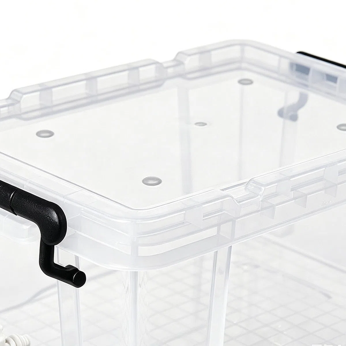 Hábitat para Tortugas Habitáculo Transparente de Descanso para Tortugas | Tanque Transparente Galápagos en Interiores: Vivienda, Salón, Aula, Dormitorio, Apartamento, Residencia y Oficina