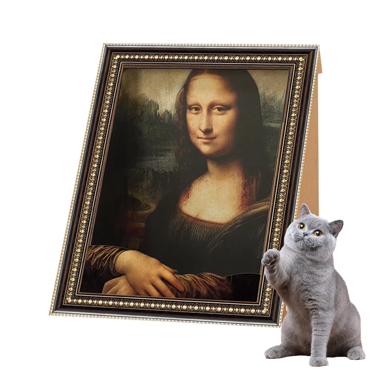 Rascador para Gatos Cama para Gatitos con Forma de Marco